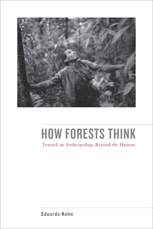 How Forests Think
