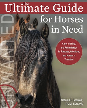 The Ultimate Guide for Horses in Need