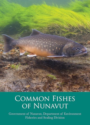 Common Fishes of Nunavut