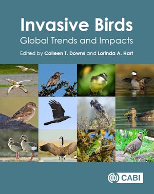 Invasive Birds