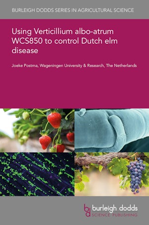 Using Verticillium albo-atrum WCS850 to control Dutch elm disease