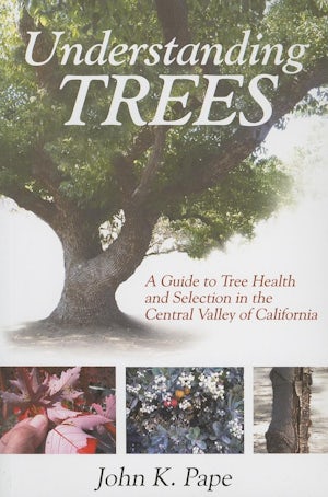 Understanding Trees