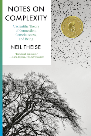 Notes on Complexity
