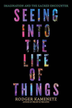 Seeing into the Life of Things