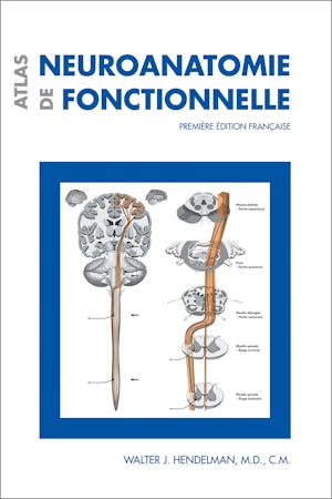 Atlas de neuroanatomie fonctionnelle