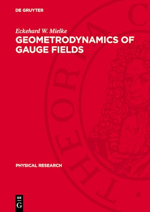 Geometrodynamics of Gauge Fields